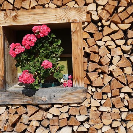 Studio Schwarzenauer Apartman Alpbach Kültér fotó