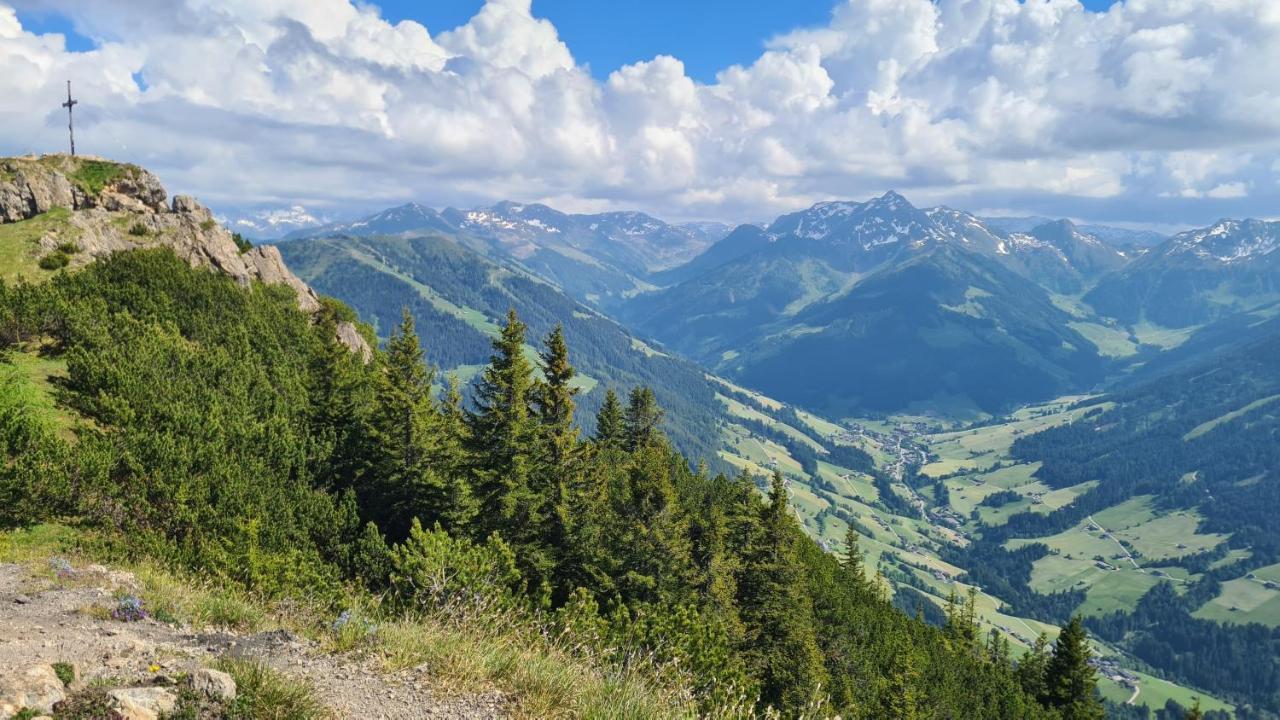 Studio Schwarzenauer Apartman Alpbach Kültér fotó