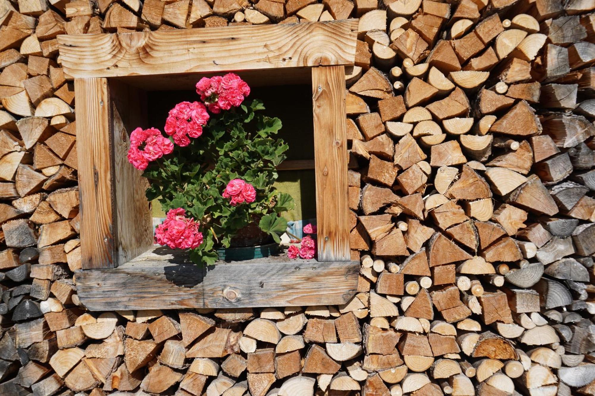 Studio Schwarzenauer Apartman Alpbach Kültér fotó