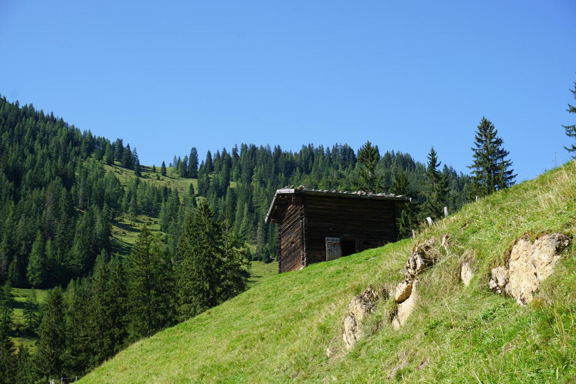 Studio Schwarzenauer Apartman Alpbach Kültér fotó