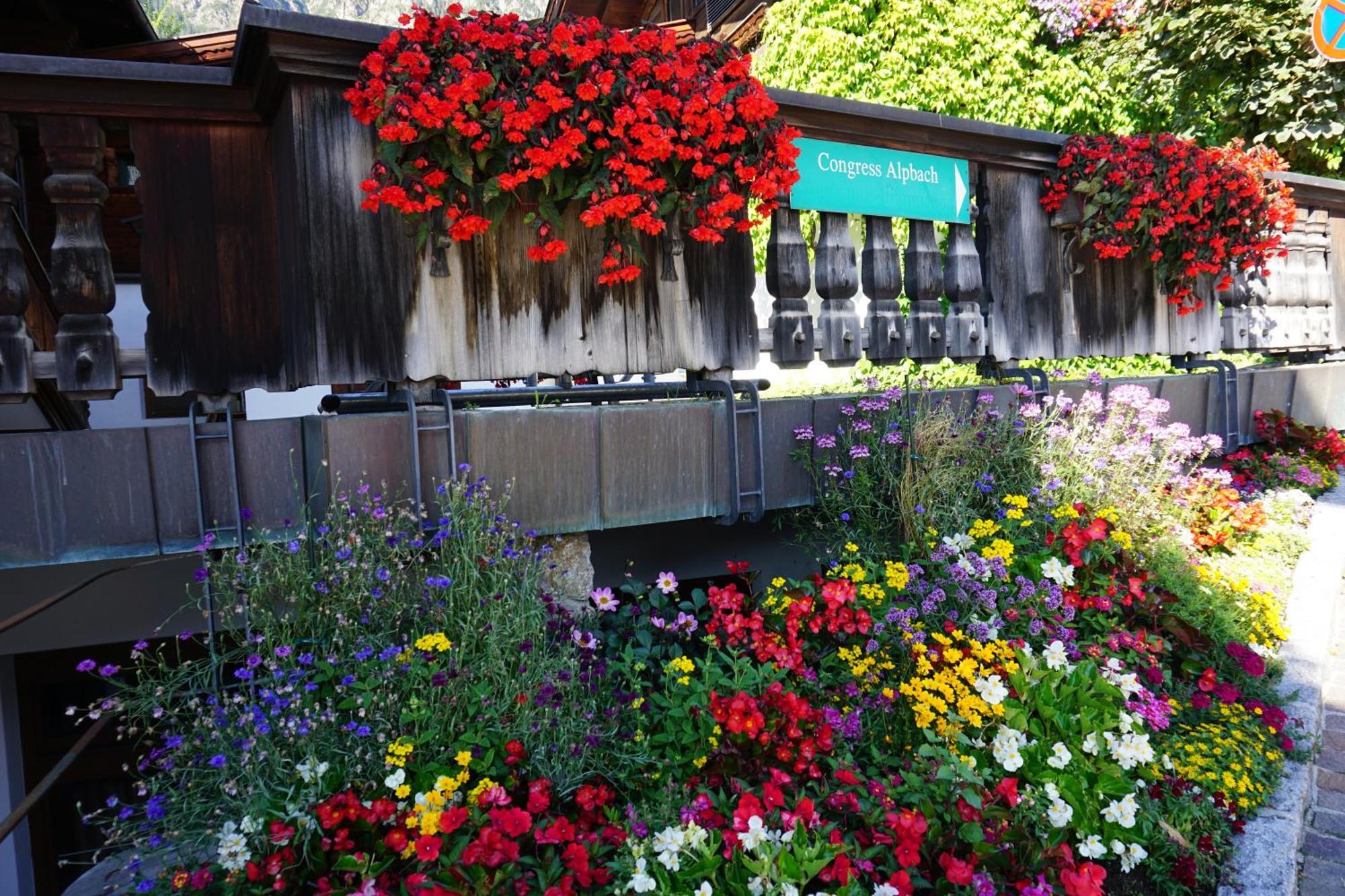 Studio Schwarzenauer Apartman Alpbach Kültér fotó