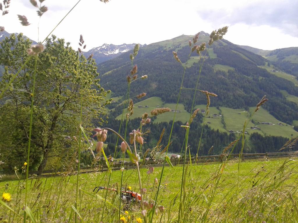 Studio Schwarzenauer Apartman Alpbach Kültér fotó