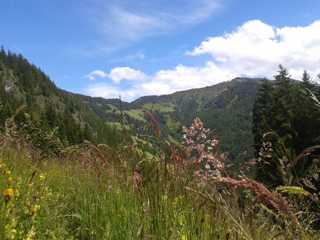Studio Schwarzenauer Apartman Alpbach Kültér fotó