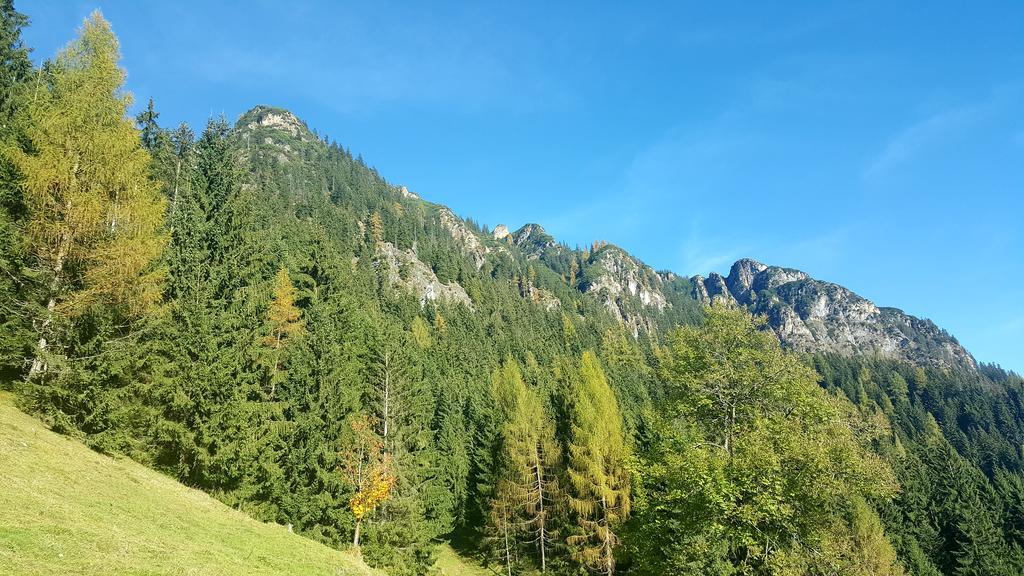 Studio Schwarzenauer Apartman Alpbach Kültér fotó
