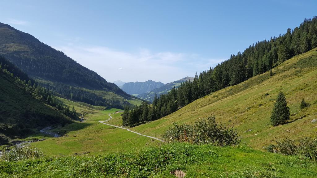 Studio Schwarzenauer Apartman Alpbach Kültér fotó