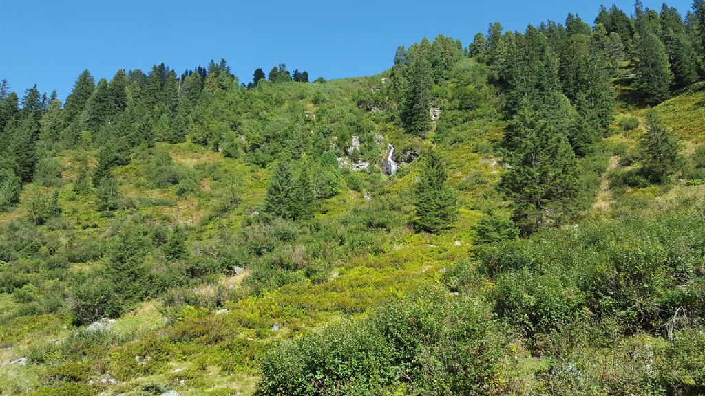 Studio Schwarzenauer Apartman Alpbach Kültér fotó