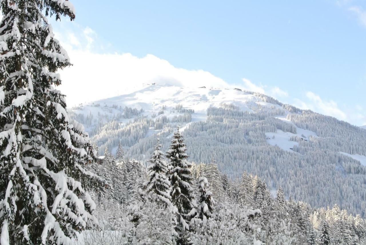 Studio Schwarzenauer Apartman Alpbach Kültér fotó